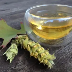 Řecký horský čaj - bylinka z Podzimní Čajové Bedýnky 2018
