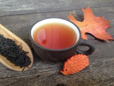Lapsang - čínský nakuřovaný černý čaj z proincie Fujian z Podzimní Čajové Bedýnky 2018