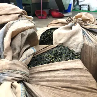 Oolong - co je čaj oolong a v čem se liší od zeleného čaje