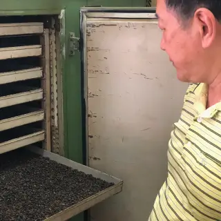 Oolong - co je čaj oolong a v čem se liší od zeleného čaje