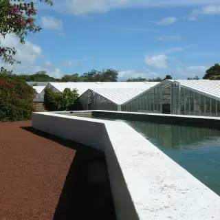 Skleníky na pěstování ananasu, Sao Miguel, Azorské ostrovy, Portugalsko