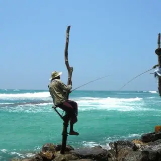 Rybáři na kůlech, Midigama, Srí Lanka