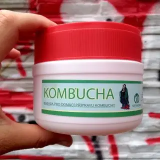 Kombucha - kultura / násada