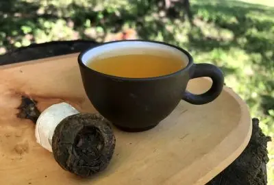 Pu erh mini tuo cha raw - pu erh zelený slisovaný do hnízd