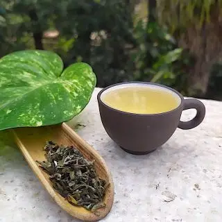 Nepal First flush ze zahrady Sakhejung   vynikající nepálský černý čaj