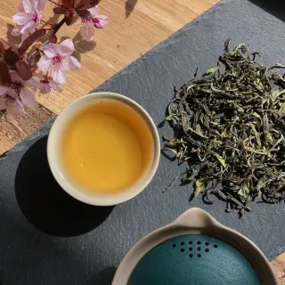 Čaje z Darjeelingu - co znamená first flush, second flush a jaký je mezi nimi rozdíl