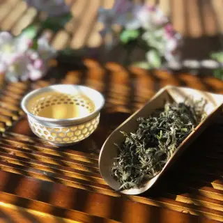 Čaje z Darjeelingu - co znamená first flush, second flush a jaký je mezi nimi rozdíl