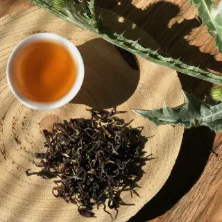 Čaje z Darjeelingu - co znamená first flush, second flush a jaký je mezi nimi rozdíl