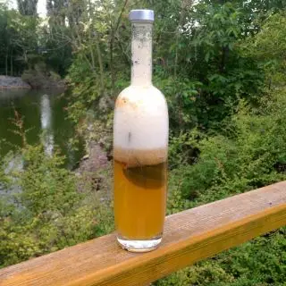 Takhle kombucha zpění při upouštění CO2