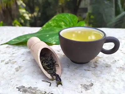 Gu zhang mao jian - vynikající sypaný zelený čaj