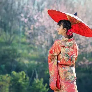 Gejša, Japonsko, photocredits: sasint on Pixabay