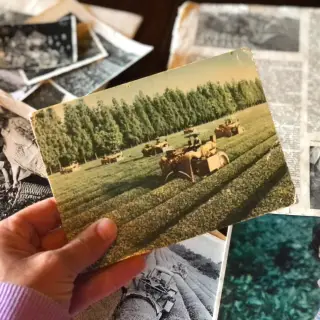 Kombajny na sklizeň čaje v Gruzii v éře Sovětského svazu - staré fotografie od čajové nadšenkyně v Gruzii