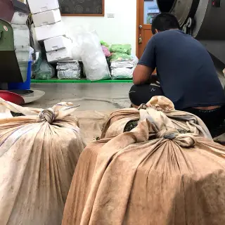 Výroba oolongů na Taiwanu - 18 kg těžké "krychle" slisovaných čajových lístků