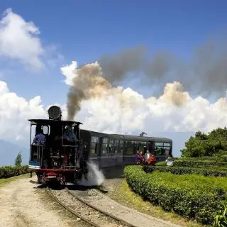 Darjeeling, photocredits: donvikro on Pixabay