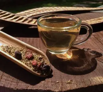 Zelený rooibos s lesními plody - kvalitní sypaný čaj