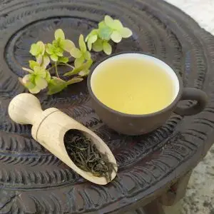 Assam doomni   kvalitní sypaný zelený indický čaj