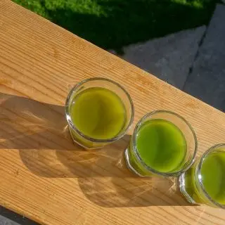 Matcha - čím jasnější zelená, tím kvalitnějsí