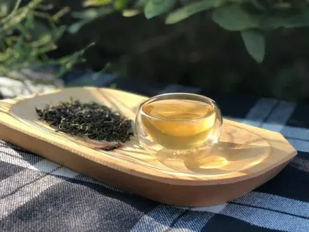 Nilgiri green oolong