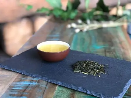 Gaba Sencha