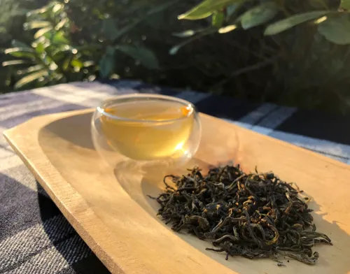 Nilgiri frost oolong