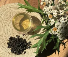 Se chung oolong - kvalitní zelený čaj typu oolong z čísnkého Fujianu oblast Anxi