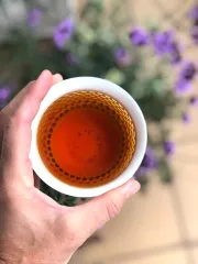 Ruby Sun moon lake - skvělý černý čaj z Taiwanu - barva nálevu