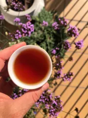 Ruby Sun moon lake Taiwan - kvalitní sypaný černý čaj s tóny máty a skořice - detail nálevu