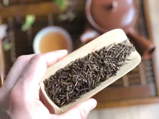 Hojicha - kvalitní sypaný japonský pražený zelený čaj v bio kvalitě - pohled na čajové lístky v sypátku