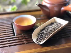 Hojicha - kvalitní sypaný japonský pražený zelený čaj v bio kvalitě