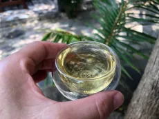 Jasmin Chun Feng - kvalitní sypaný jasmínový zelený čaj z Číny - detail nálevu