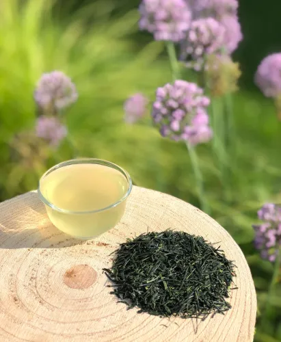 Japan Gyokuro