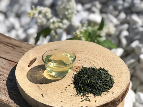 Sencha