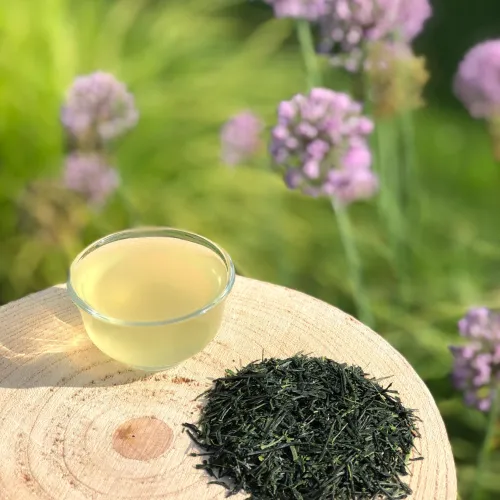 Japan Gyokuro