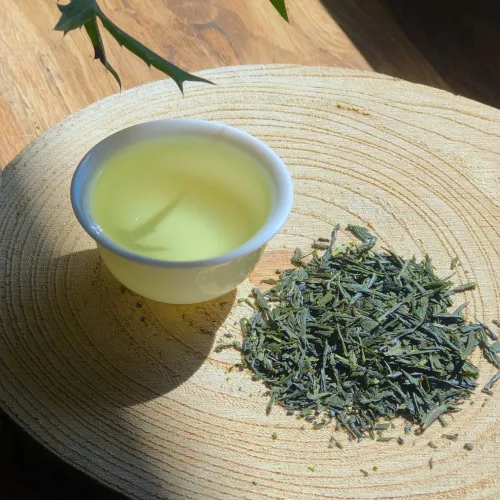 Sencha