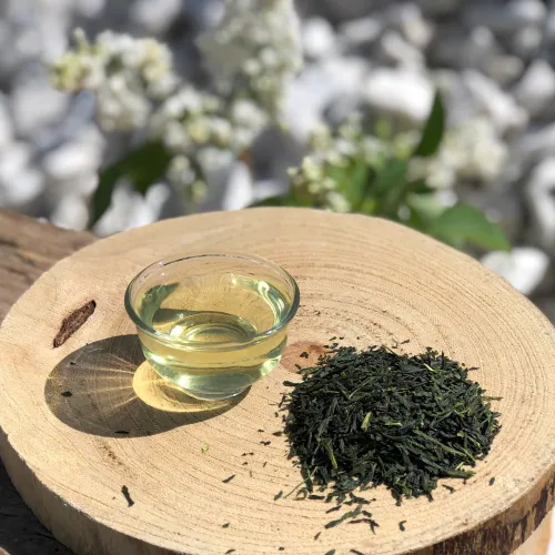 Sencha