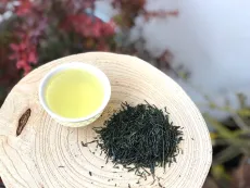 Gyokuro - Shincha Gyokuro - kvalitní sypaný japonský zelený čaj - kultivar Yabukita - oblast Hioki