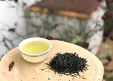 Gyokuro - Shincha Gyokuro - kvalitní sypaný japonský zelený čaj - kultivar Yabukita - oblast Hioki