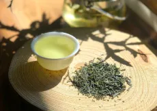 Sencha Shizuoka Yabukita - kvalitní japonský zelený čaj