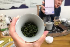 Ochutnávka taiwanského zelenýho čaje Sanxia Pi lo chun s mým dodavatelem - občas jsme se bez překladače neobešli ;)