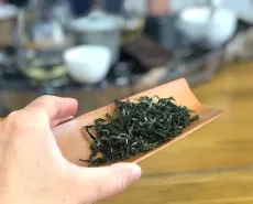 Ochutnávka taiwanského zelenýho čaje Sanxia Pi lo chun s mým dodavatelem