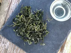 Pi lo chun - Bi luo chun - z čajové oblasti Sanxia na Taiwanu - detail čajových lístků