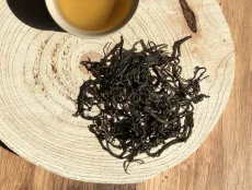 Nilgiri Conoor winter frost oolong 2025 - kvalitní sypaný čaj z Indie - detail čajových lístků