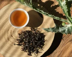 Darjeeling Turzum Mystic black - premium Darjeeling second flush tea - kvalitní sypaný čaj z Darjeelingu