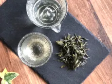 Kangra Zen orchard - raritní sypaný zelený čaj z méně známé indické čajové oblasti Kangra