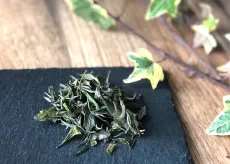 Kangra Zen orchard - raritní sypaný zelený čaj z méně známé indické čajové oblasti Kangra