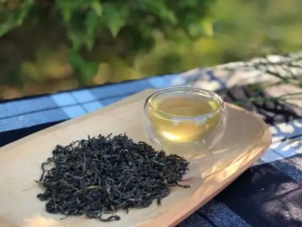 Nilgiri green tea