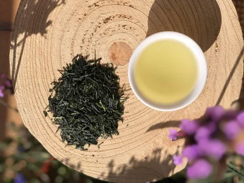 Shincha Kabuse
