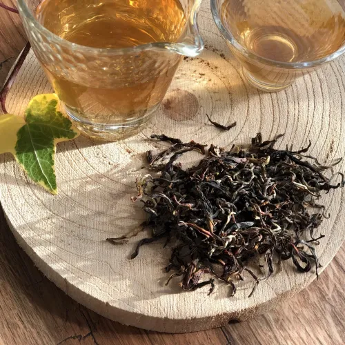 Darjeeling Arya Ruby