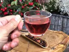 Aronie - černý jeřáb - čaj z aronie - kvalitní sypaný ovocný čaj - detail nálev