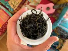 Purple tea - vínový nebo také fialový čaj z Keni zpracovaný jako zelený čaj - Purple tea green - detail mokrých čajových lístků